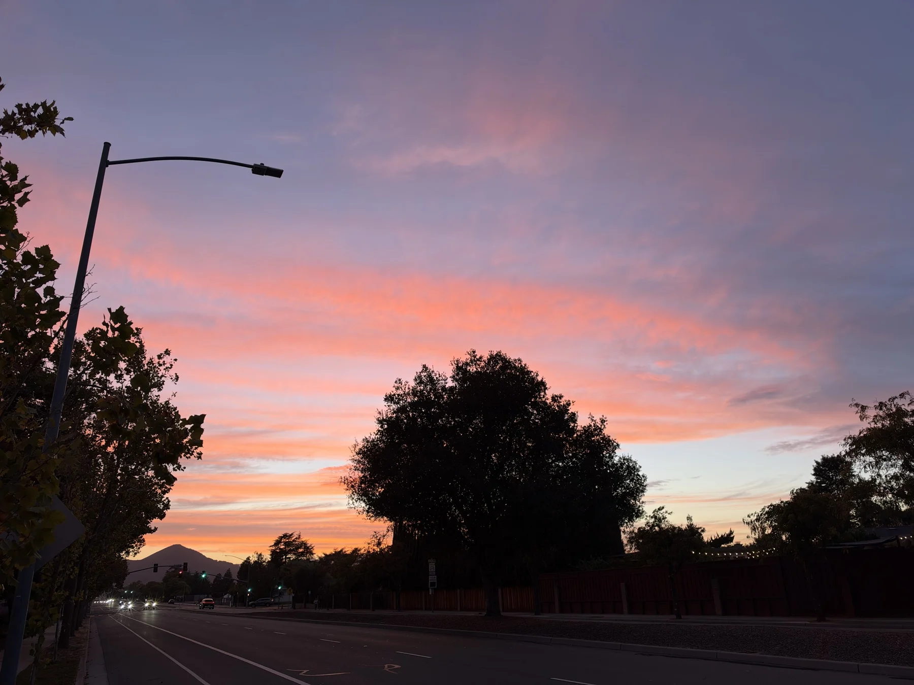 Wide pink and orange cloud layers above a silhouetted tree in Morgan Hill on October 2, 2026